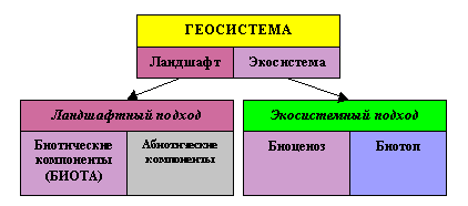 Термин геосистема был введен