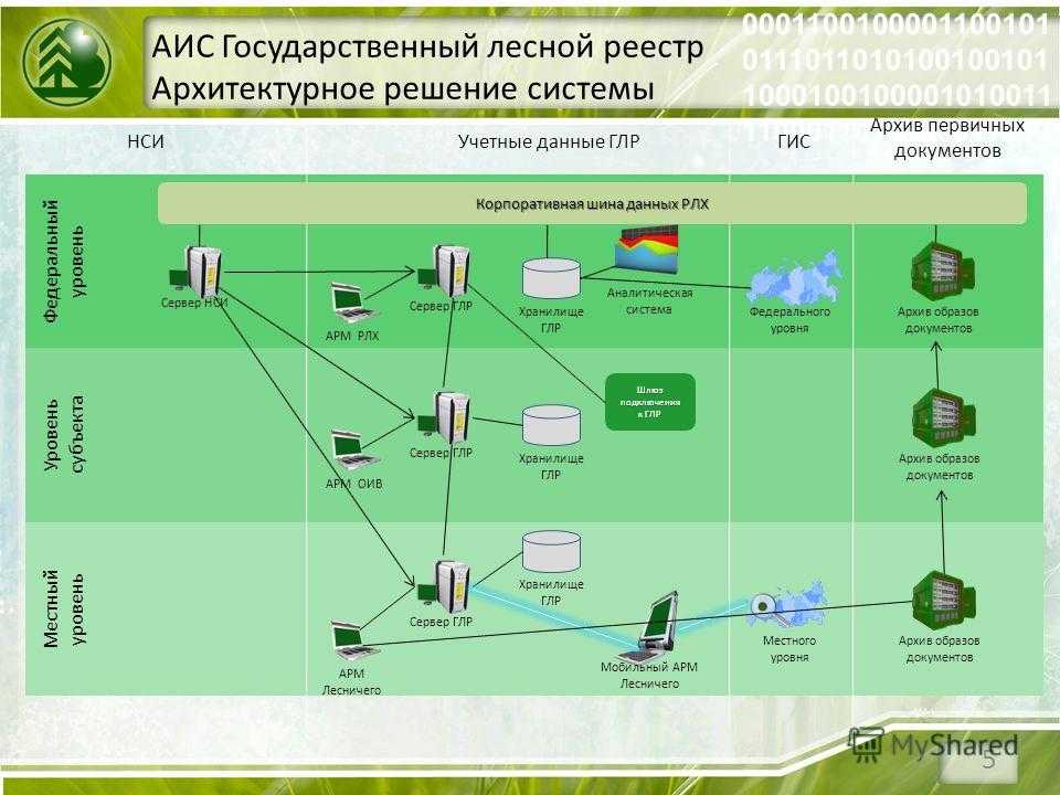 Аис гвр. Государственный Лесной реестр (ГЛР). АИС государственный Лесной реестр. Разделы лесного реестра. ГЛР это в Лесном хозяйстве.