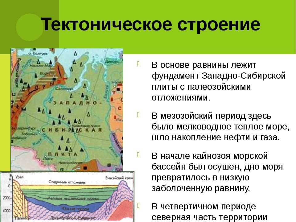 Какие платформы лежат в основании евразии. Тектоническая структура Западно-сибирской равнины. Тектоническая структура Западно сибирсеоцтравнины. Западно Сибирская равнина на карте тектоническая структура. Геологическое строение рельеф Западной Сибири равнины.