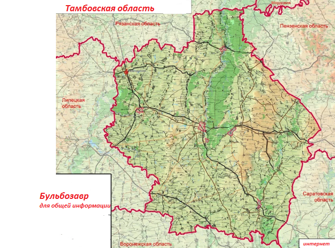 Карта леса тамбовской области