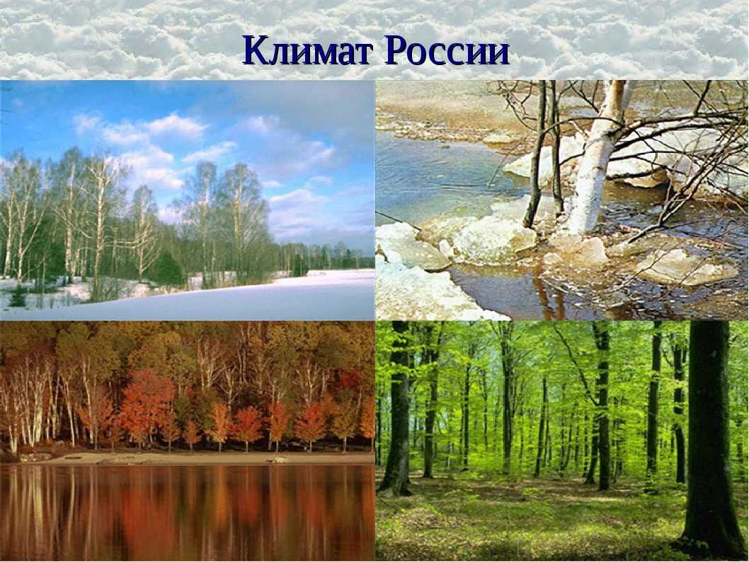 17 типов климата на земле (и их характеристики) - медицинский - 2023