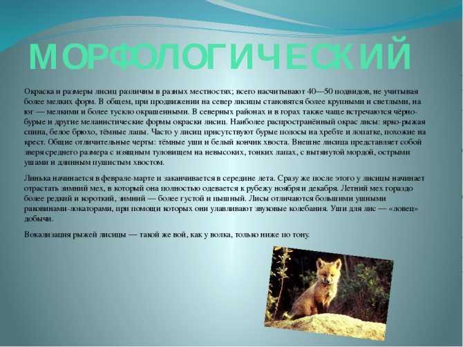 Vdvanr.ru
