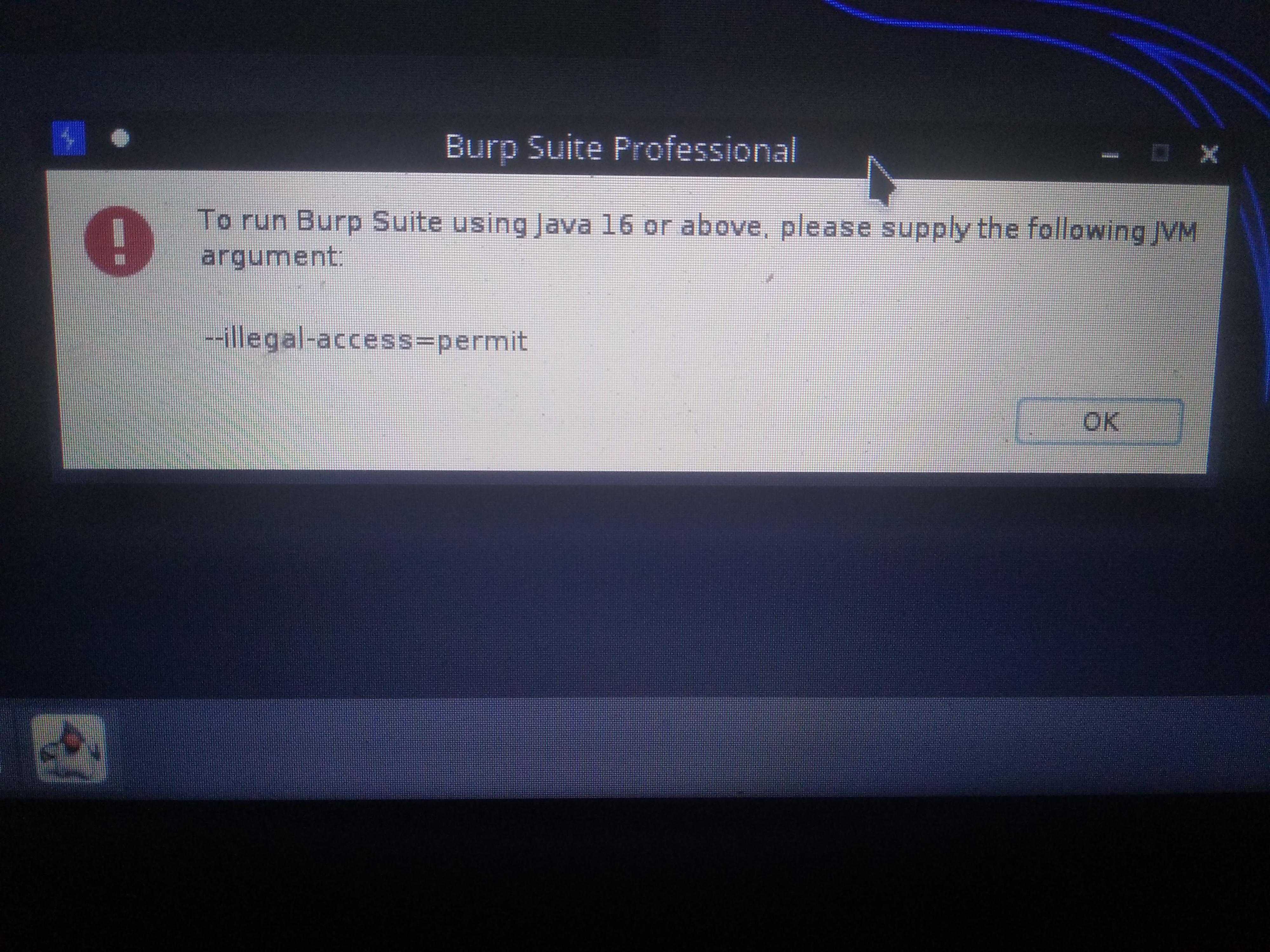 Burp Pro ICO. Error unable to access jarfile