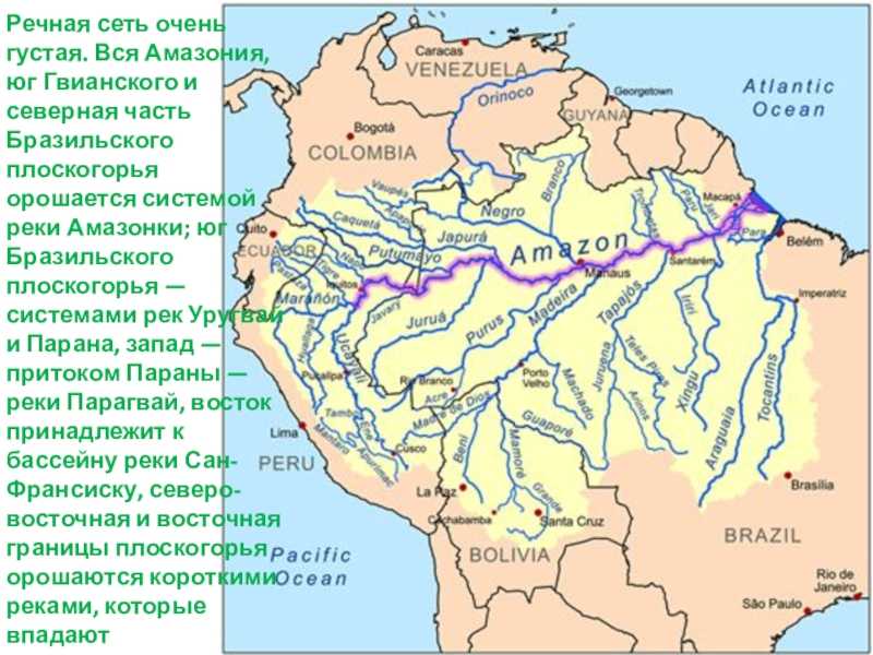 Длина амазонки — самой опасной реки в мире
