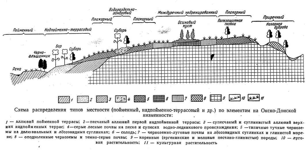 Лекция 2
