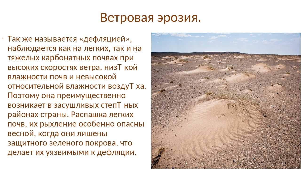 Понятие эрозия. Ветровая эрозия почв защита. Ветровая эрозия. Водная и Ветровая эрозия почв. Эрозия почвы.