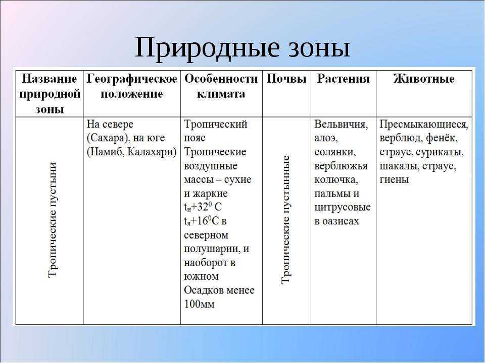 План описания рельефа южной америки - узнавалка.про