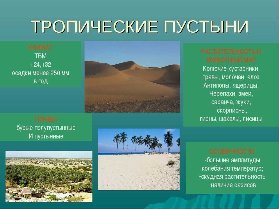Тропические пустыни