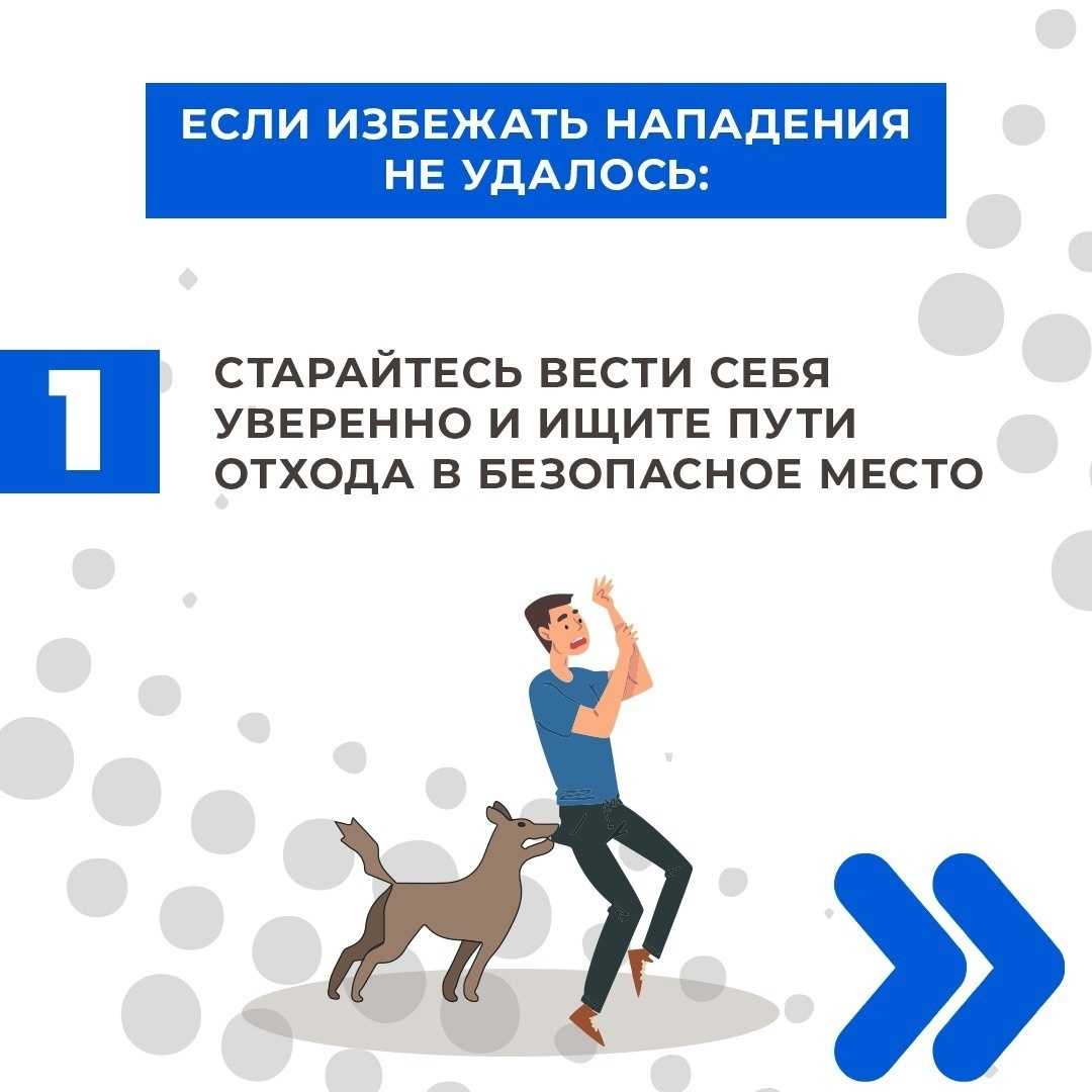 Как определить долготу и широту на карте