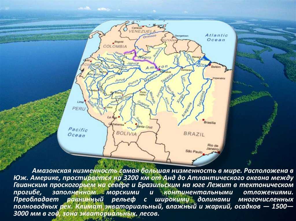 Географическое положение амазонской низменности
