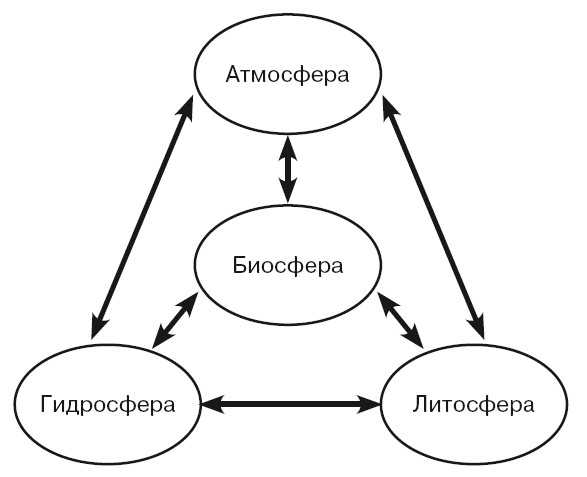Функции биосферы