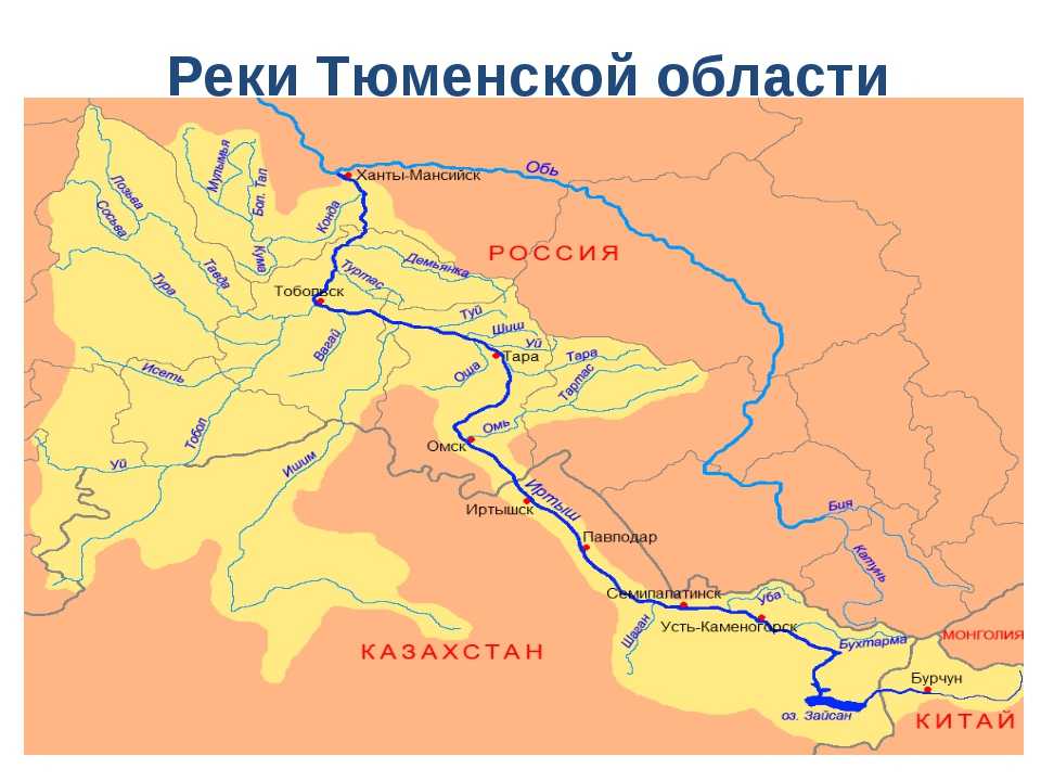 Ишимская равнина - по-сибири