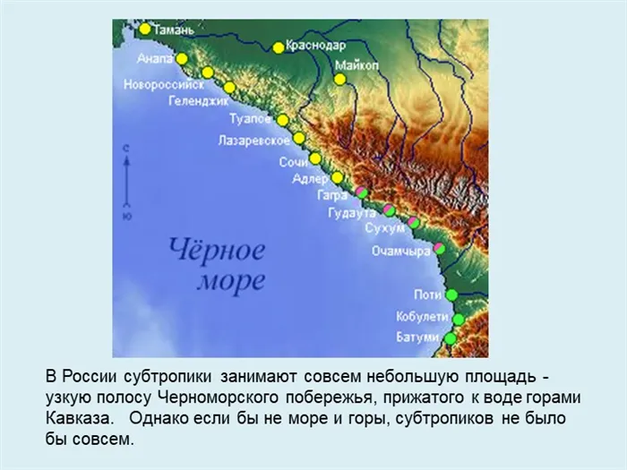 Климат россии — типы, общая характеристика и особенности распределения
