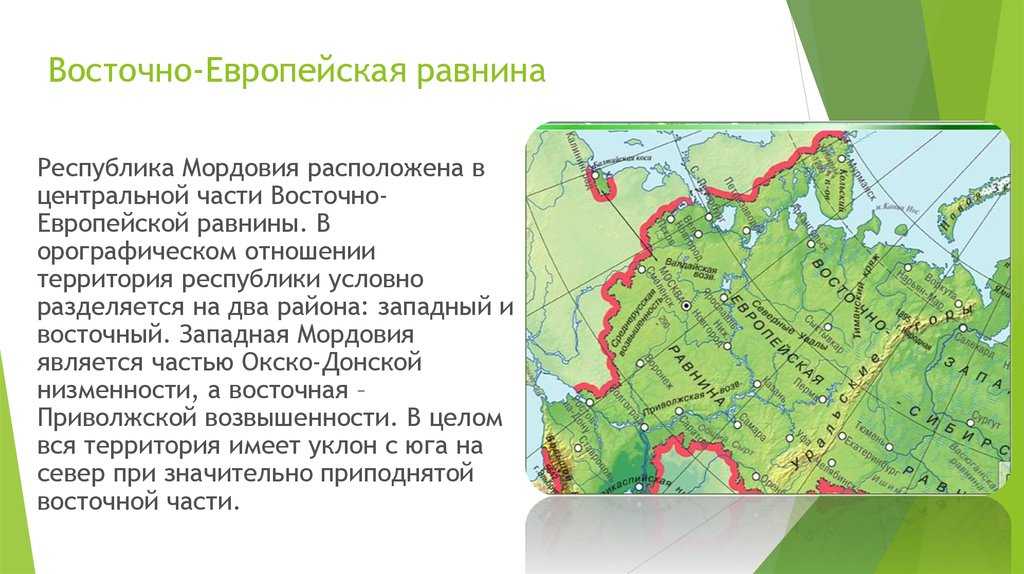 Песня о соколе