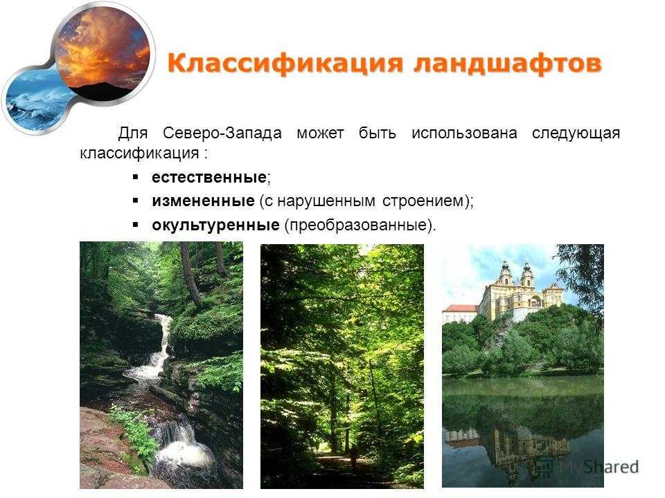 Ландшафт в географии: определение, особенности и классификация