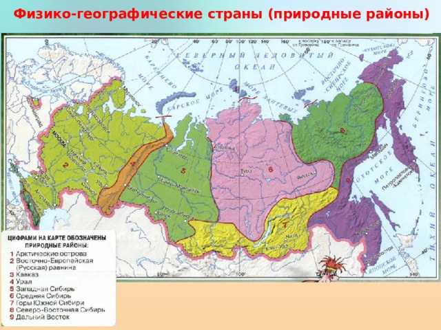 Что такое географический район: количество географических районов в россии