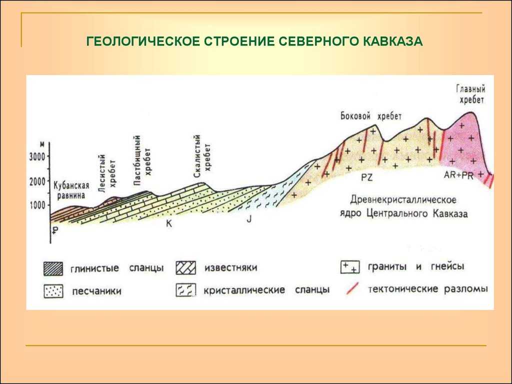 Структура северного кавказа