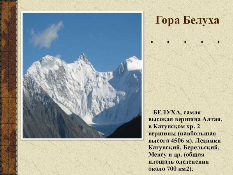 Местоположение горных систем алтая. Самая высокая гора Алтая Белуха. Гора Белуха горный Алтай высота. Гора Белуха три вершины. Высота горы Белуха на Алтае.