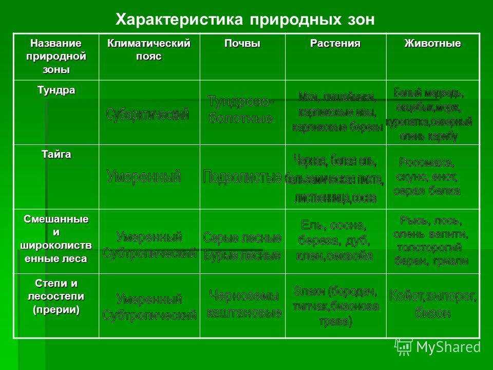 Климатические пояса и типы климатов на территории россии