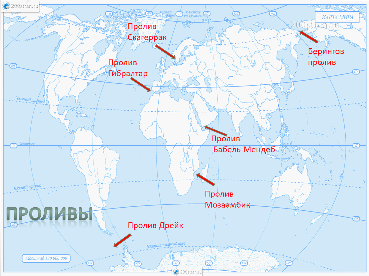 Новая зеландия веллингтон кратко