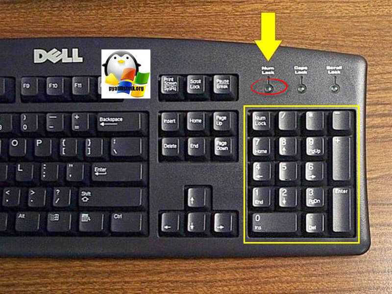 Microsoft flight sim num del key: как отпустить стояночный тормоз – игры, фильмы, телевидение, которые вы любите