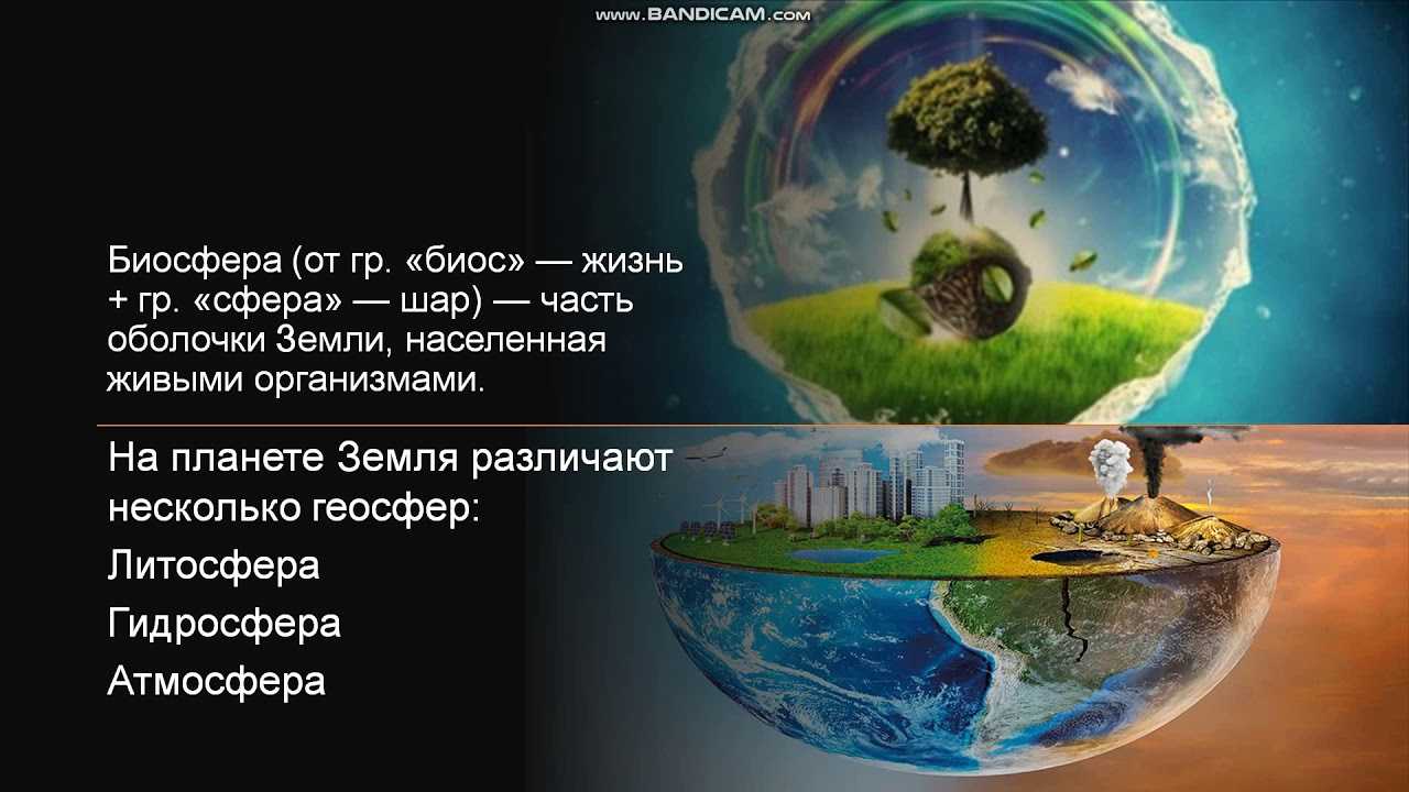 Какие меры принимаются для охраны биосферы: важные шаги для сохранения природных ресурсов