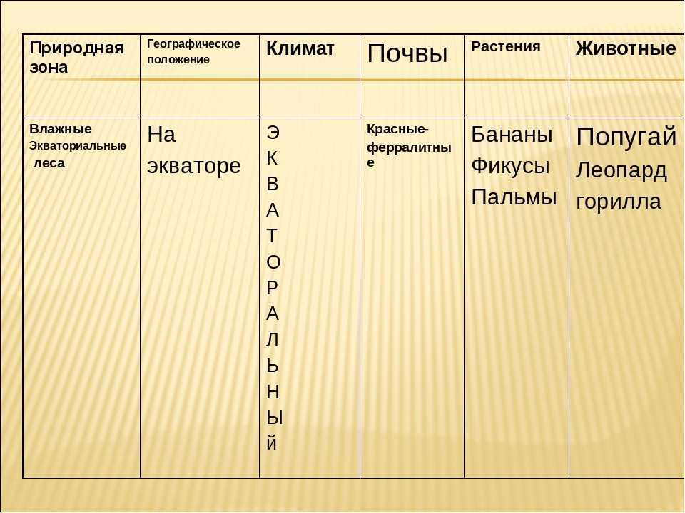 Саванна: внешний вид, фото, особенности, интересные факты, среда обитания