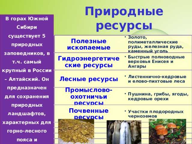 Месета — рувики: интернет-энциклопедия