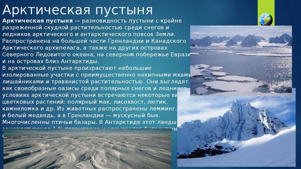 Арктический климат