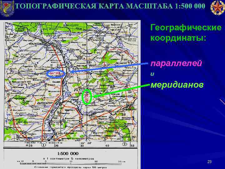 Определение масштаба, виды и применение