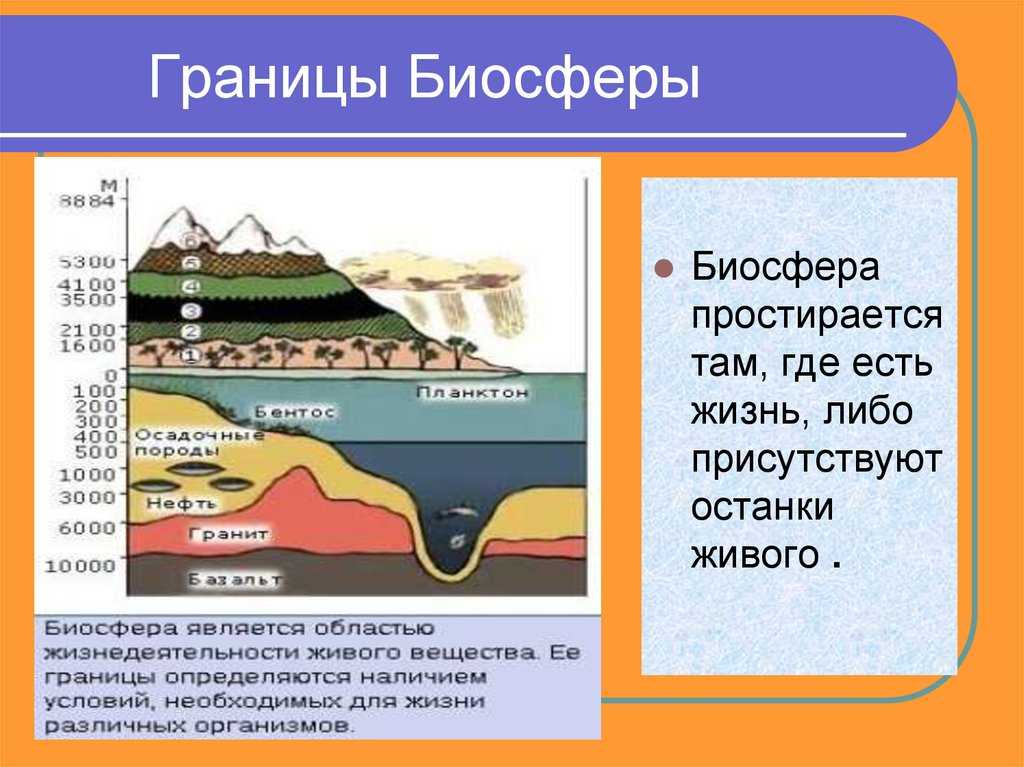 Учение о биосфере
