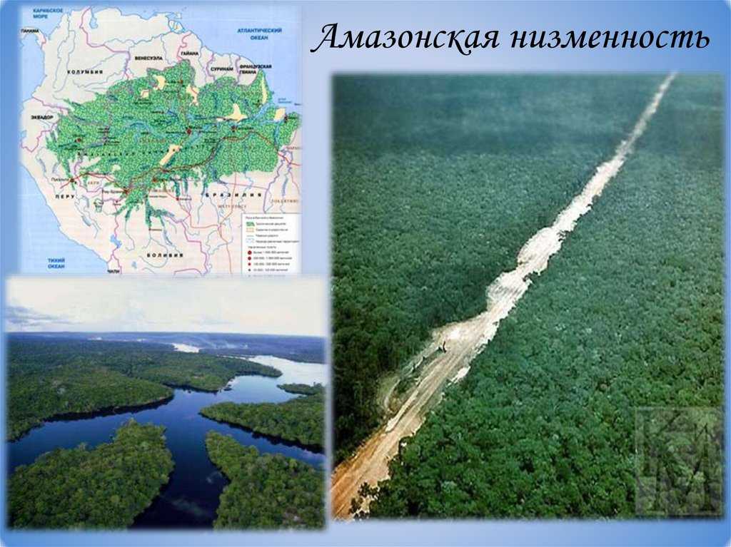 Амазонская низменность тектоническая структура и полезные ископаемые. формы рельефа южной америки. описание амазонской низменности