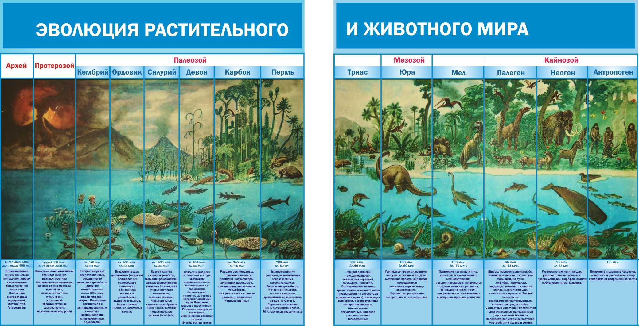 Эры земли и периоды развития земли