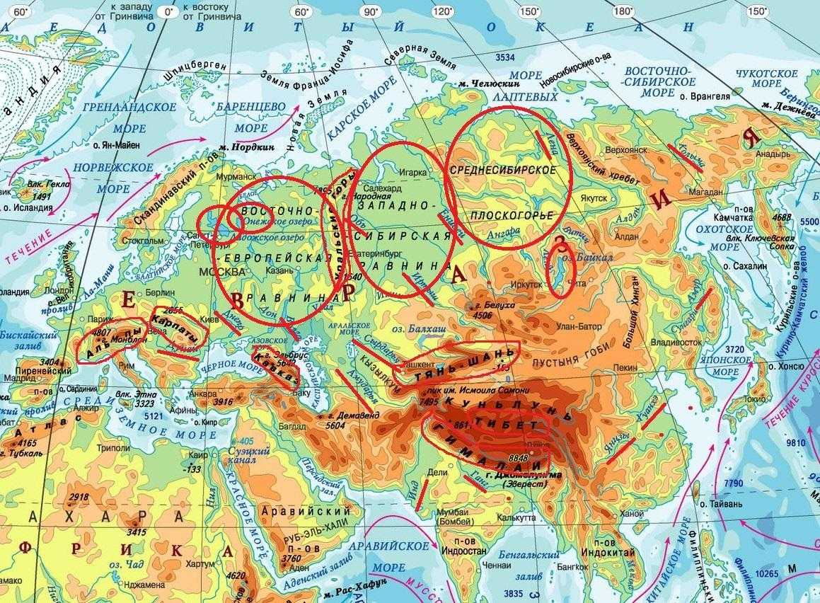 Арктика