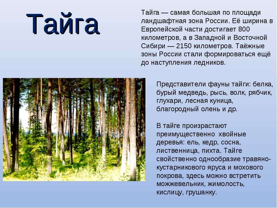 § 10. типы климатов россии
