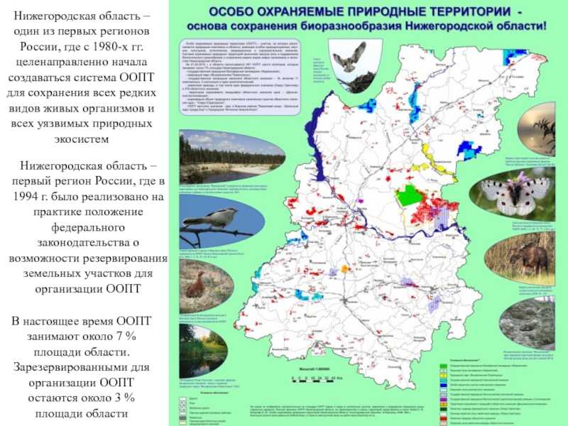 Климатические зоны россии