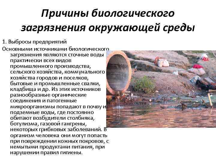 Введение