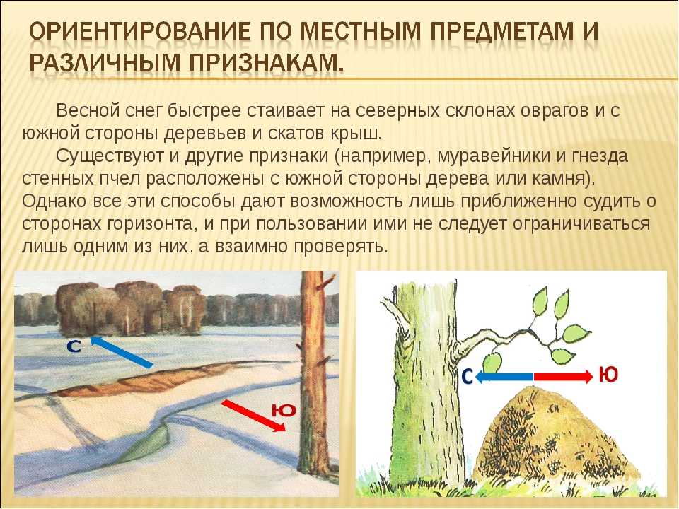 Как определить границу леса на местности