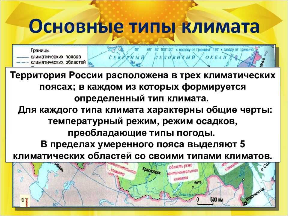 Топ-10 стран мира 🛫, которые являются самыми большими по площади
