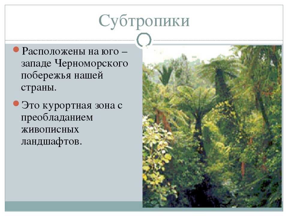 Субтропический климат