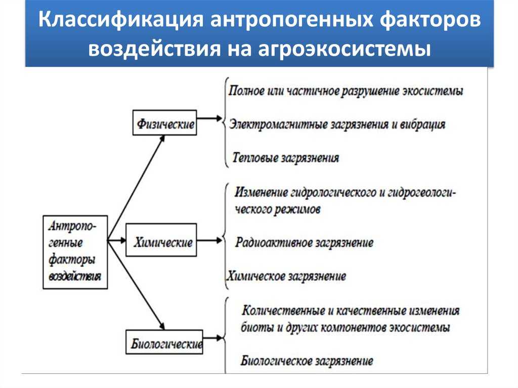 Антропогенное воздействие на природную среду и его последствия. антропогенные отрицательные меры по снижению антропогенного воздействия