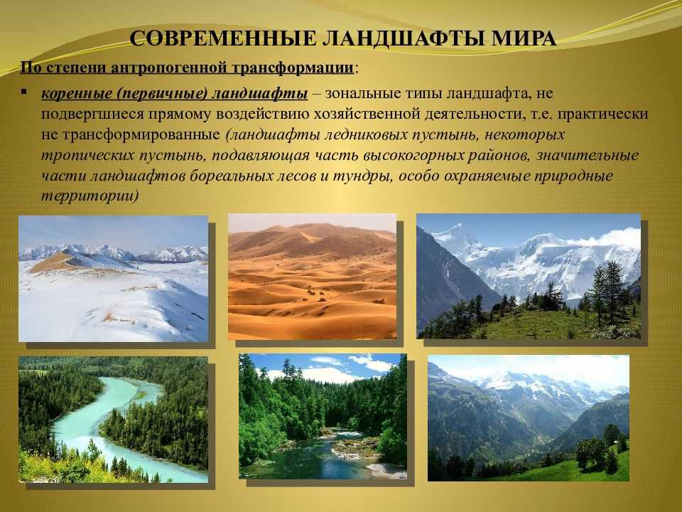 Типы антропогенных ландшафтов: разновидности и особенности