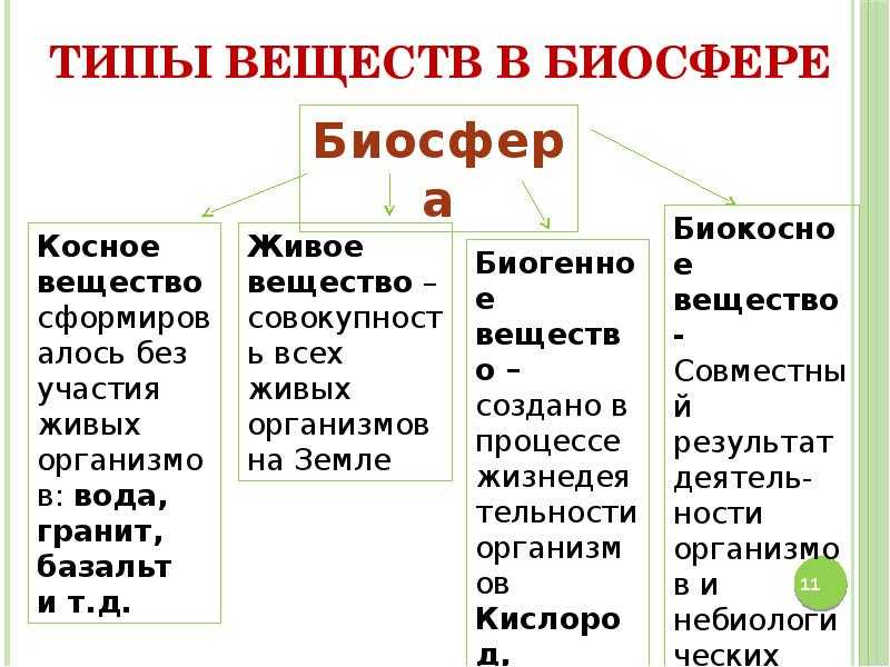 Урок 7: биосфера - 100urokov.ru