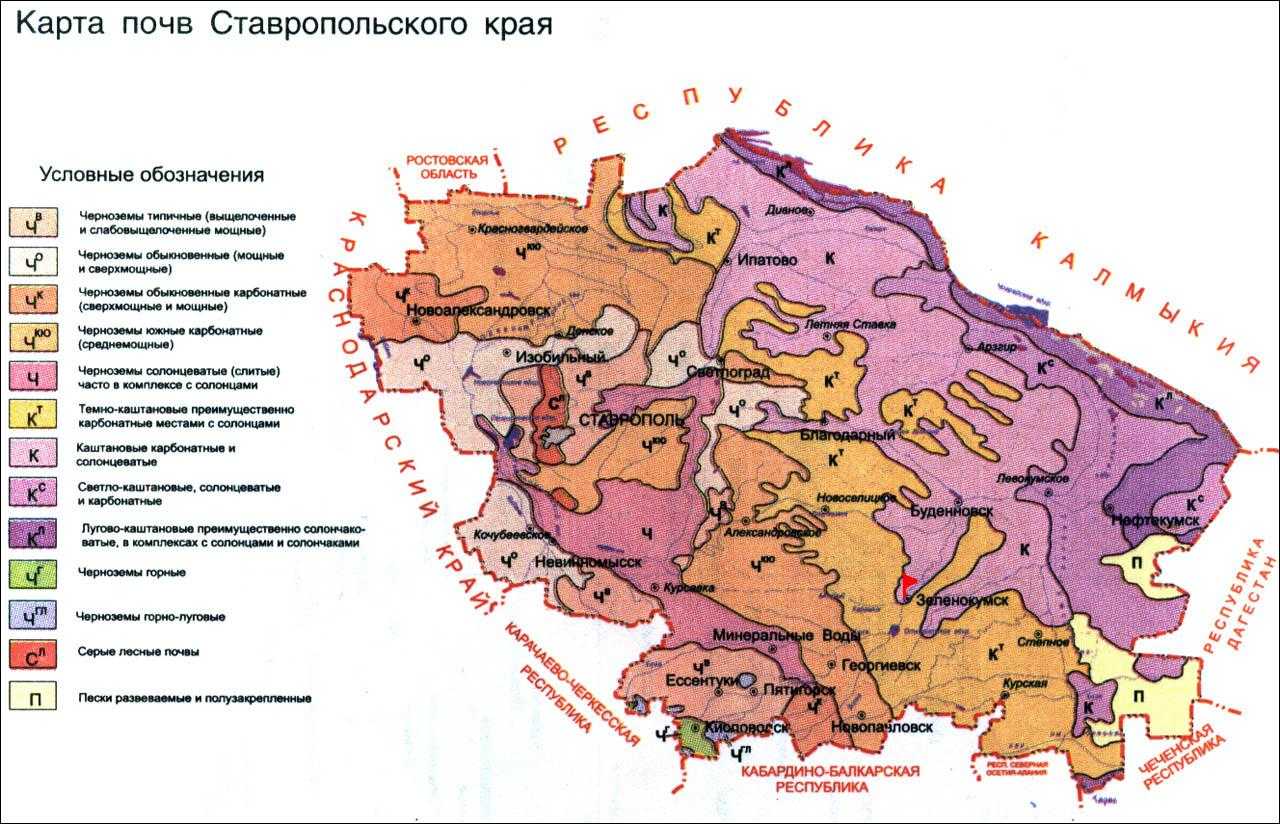 Природная зона ставропольского края