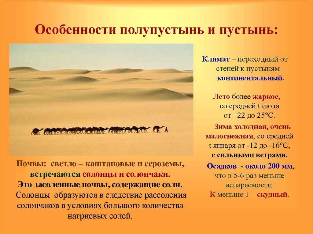 Урок 7: природные зоны - 100urokov.ru