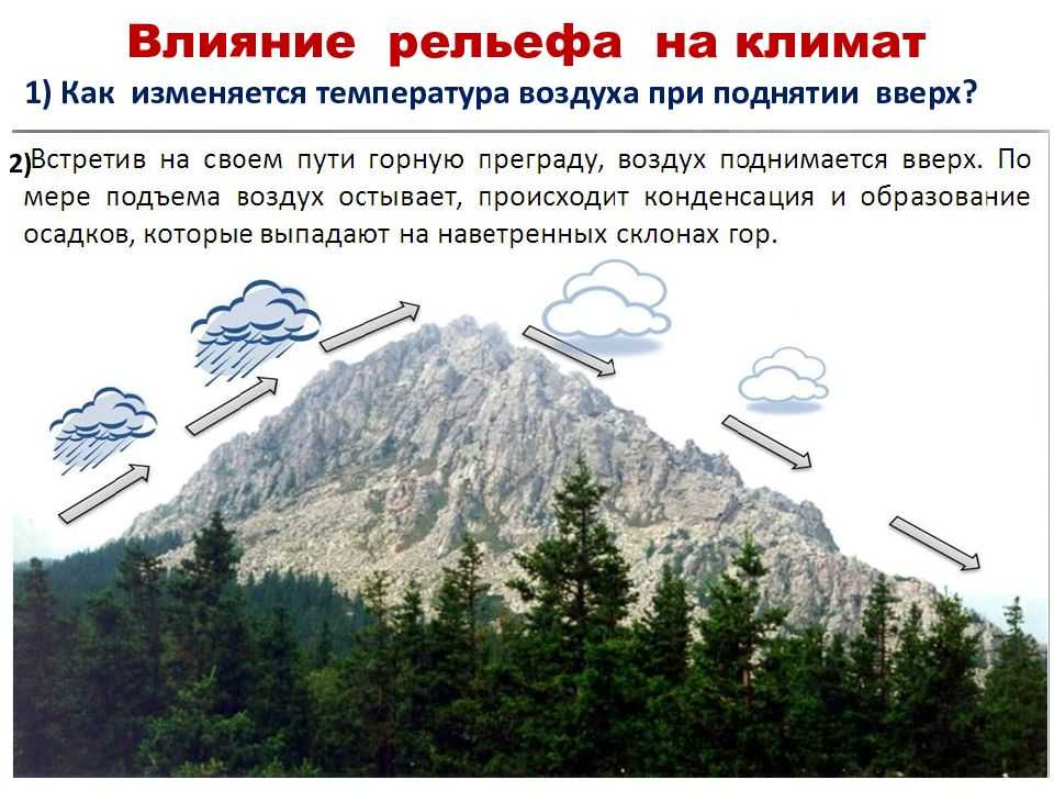 Орографический фактор Рельеф создает разнообразие условий обитания растений как на небольших территориях, так и в крупных регионах Под влия¬нием рельефа
