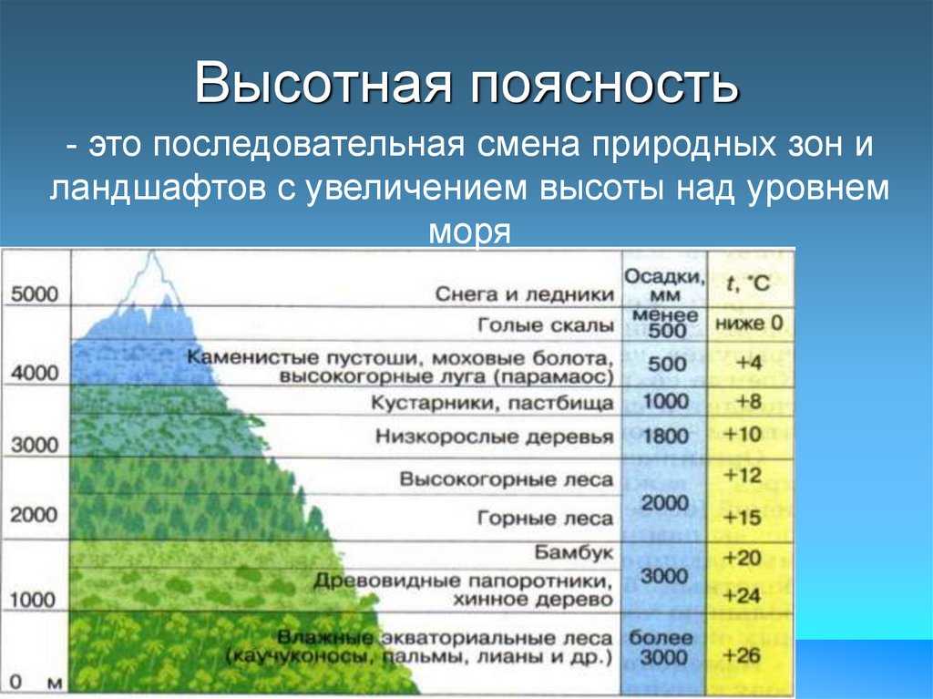 Крупные природные районы россии - названия, характеристика и карта