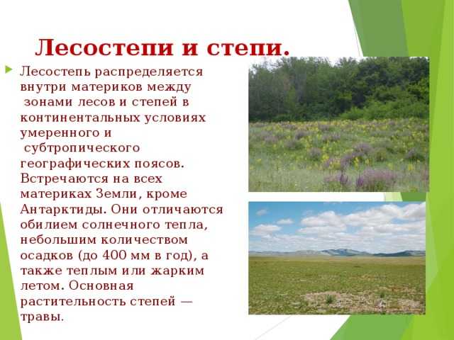 Зона степей россии: расположение, карта, природные условия, животные и растения