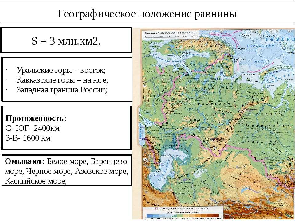 С какими природными регионами граничит русская равнина