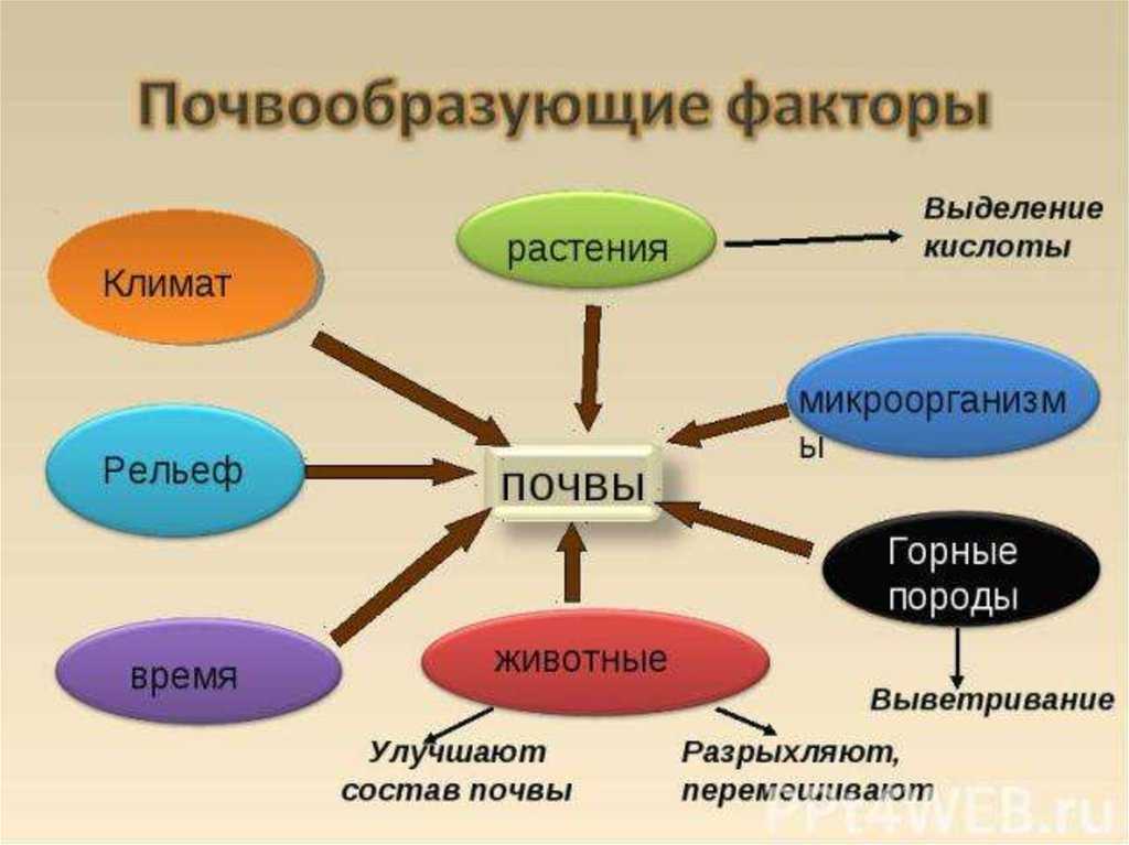 Как климат влияет на почву кратко